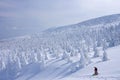 Snow Monsters of Mt.Zao in Yamagata, Japan Royalty Free Stock Photo